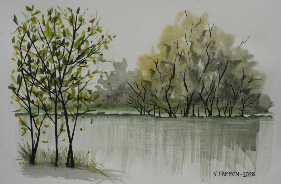 Paysage vert